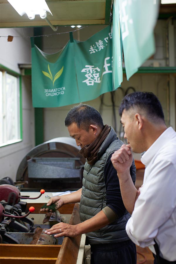 山下新壽園、新茶のとき